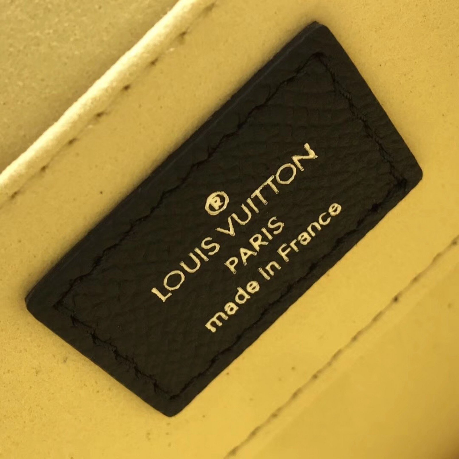 LV MINI DAUPHINE M55454