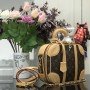 LV MINI LUGGAGE M44581