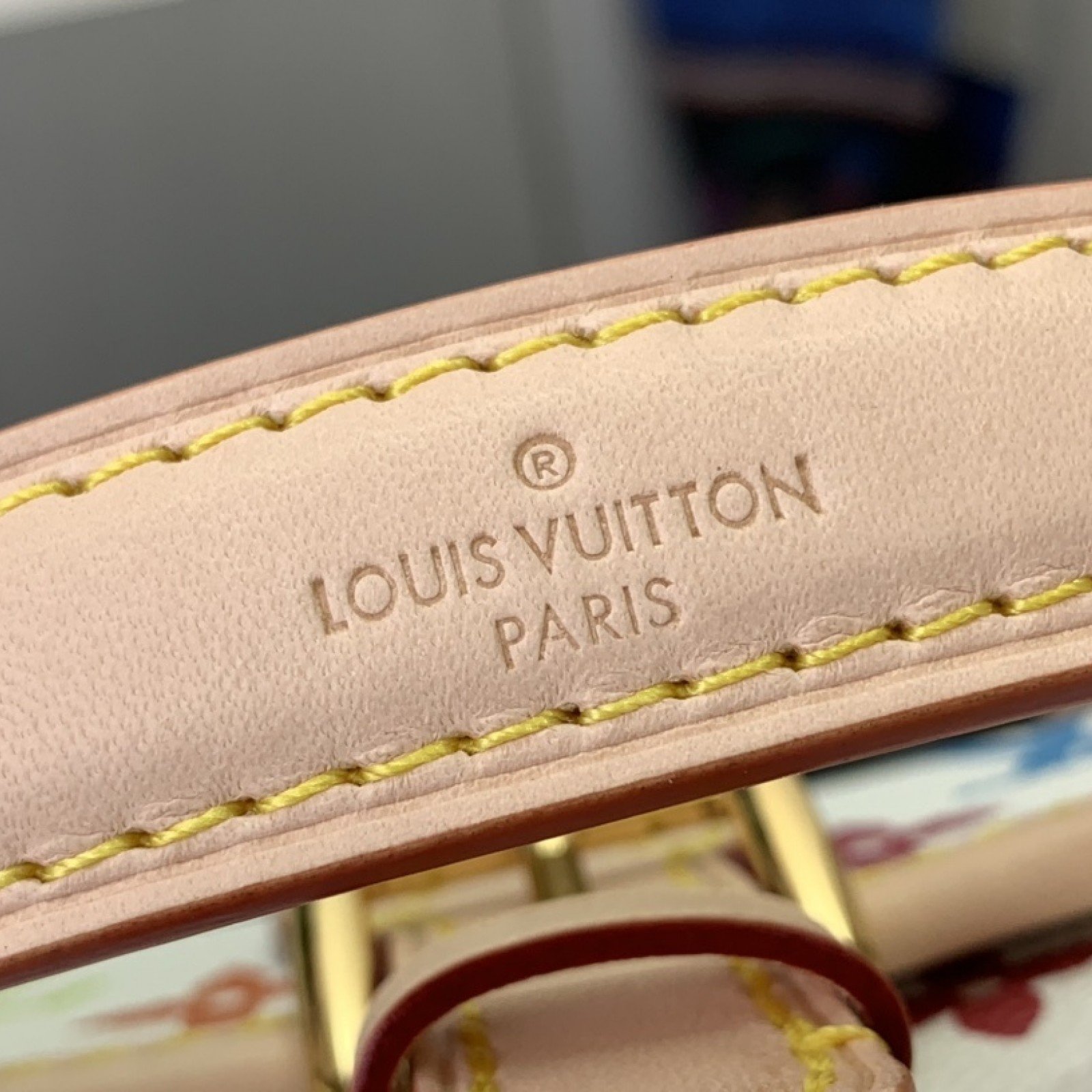 LV Nano Diane  M14194