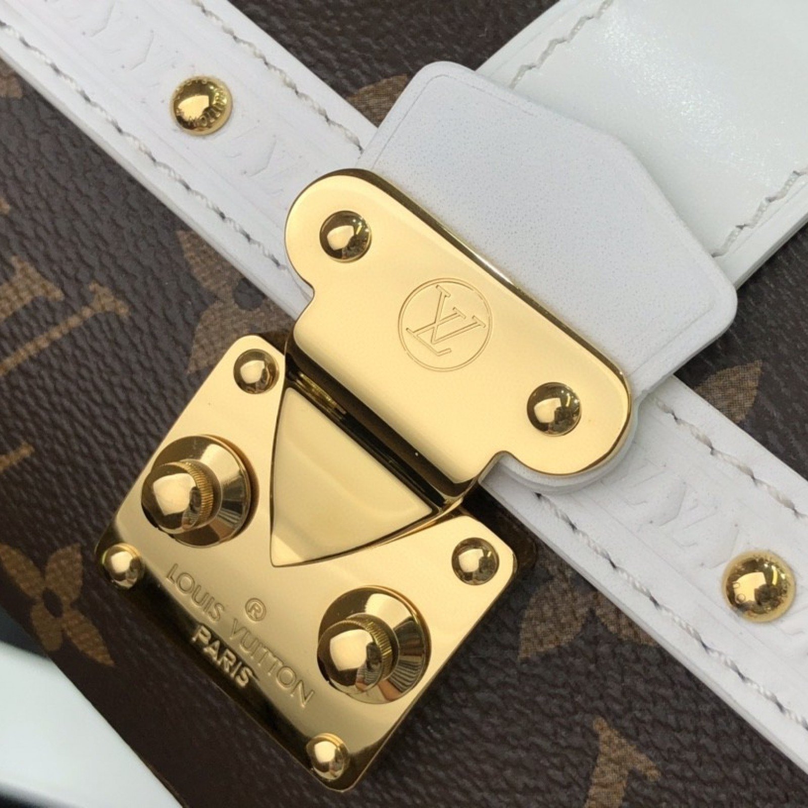 LV PAPILLON TRUNK M81485