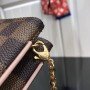 LV POCHETTE DOUBLE ZIP BAG N60254