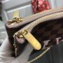 LV POCHETTE DOUBLE ZIP BAG N60254