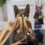 LV POOCH BAG M12617