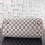 LV PROPRIANO Bag N44027