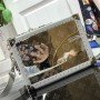LV SOFT TRUNK M20233