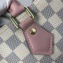 LV SPEEDY 30 BAG N41373FP