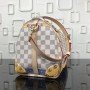 LV SPEEDY Bag N41063