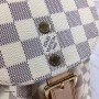 LV SPERONE Backpack N44026