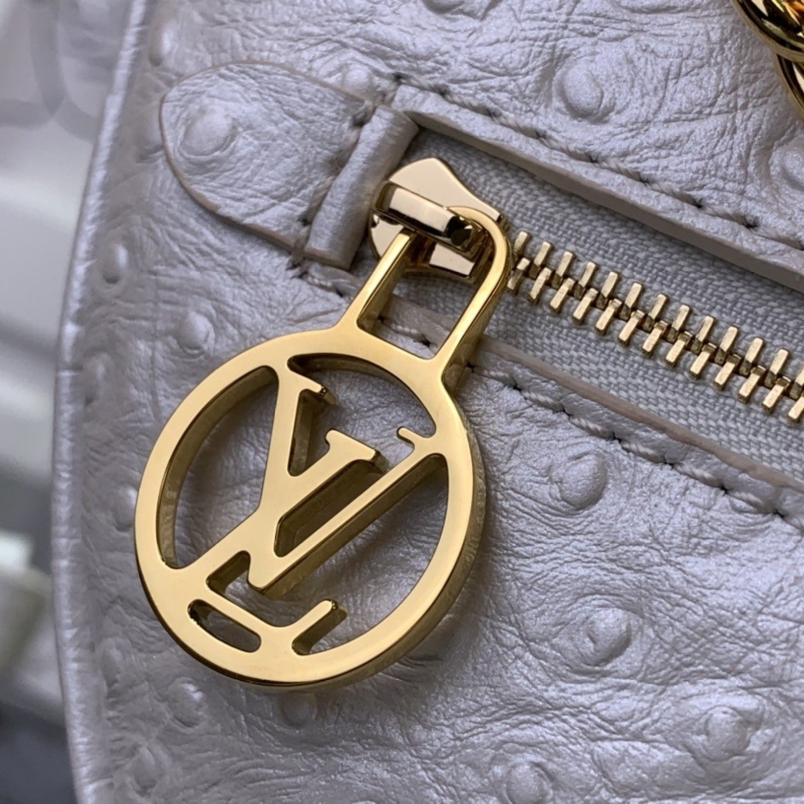 LV Shoulder bag N85900