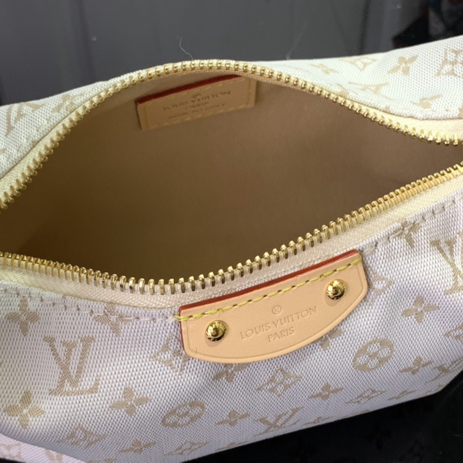 LV Shoulder bag m12433