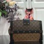 LV TRUNK CLUTCH M43596