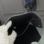 LV Wallet m81859