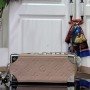LV soft trunk M13868