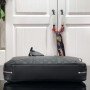 LV Handbag N45288