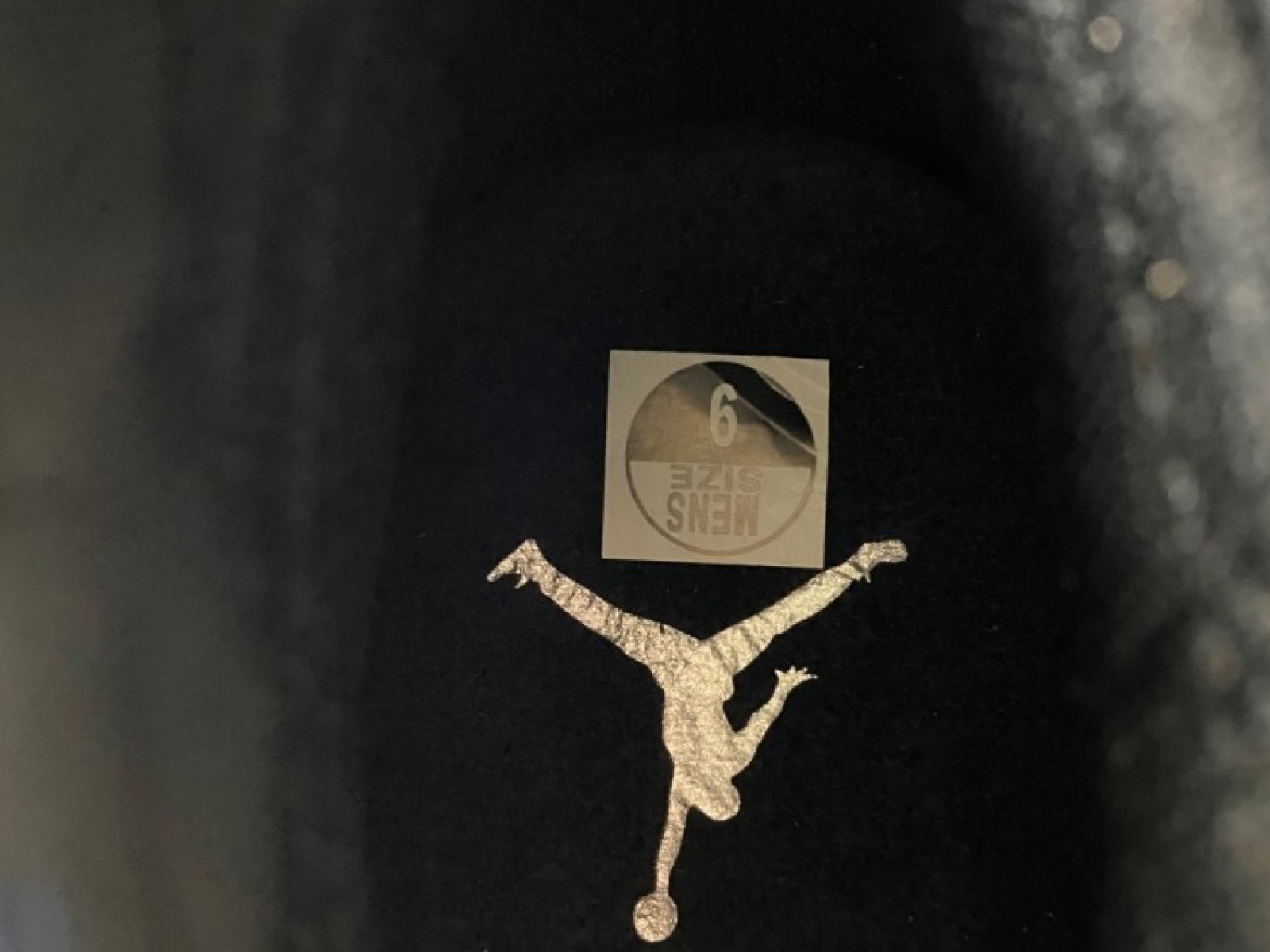 Air Jordan 17 OG Black Chrome (303891-004)