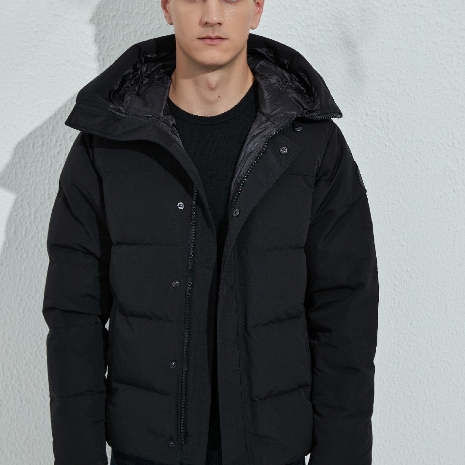 CN33 Mens Canada Goose Goose