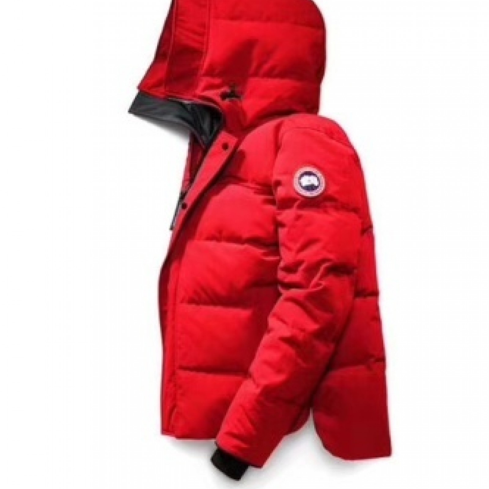 CN33 Mens Canada Goose Goose