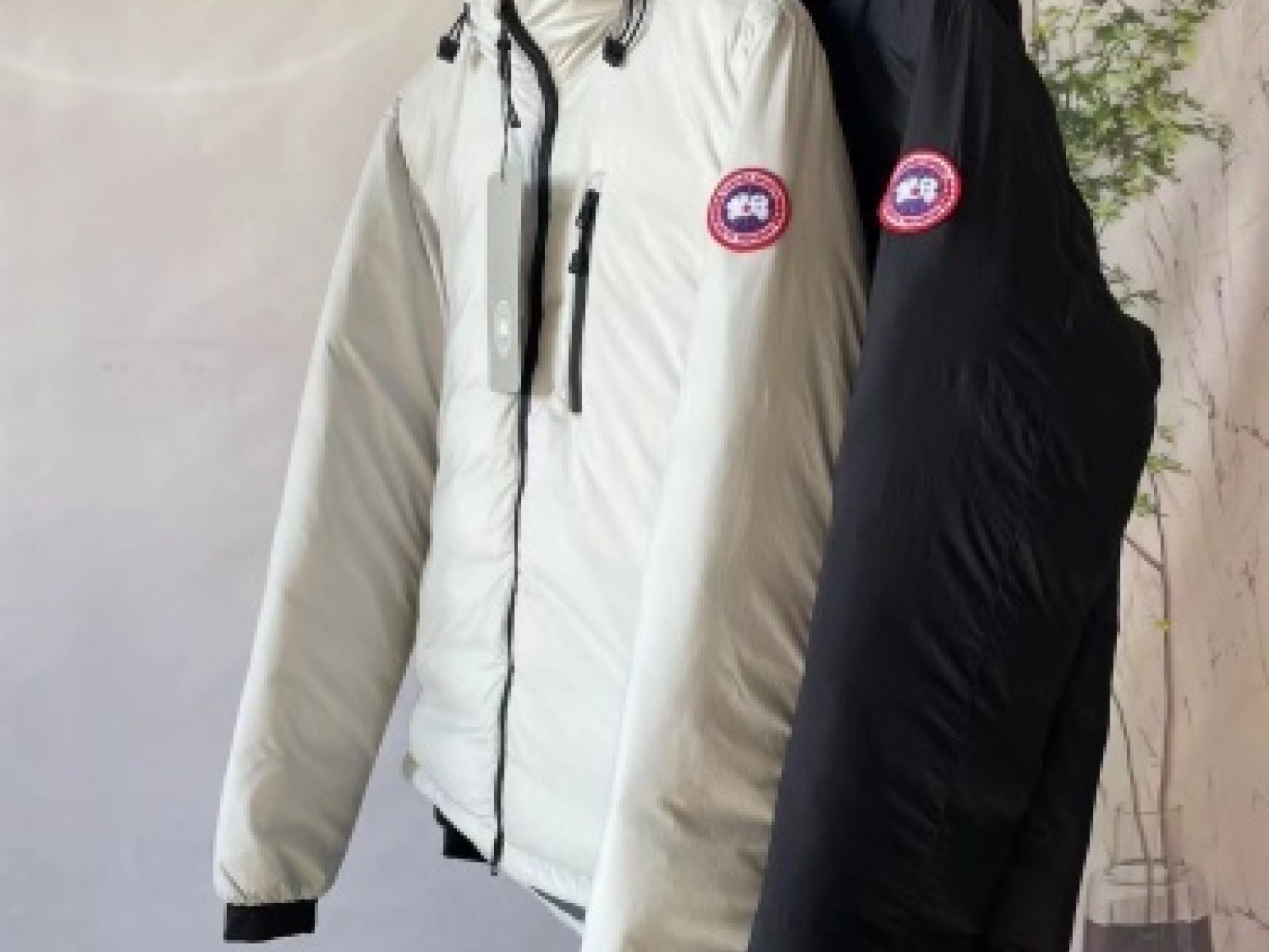 CN147 Mens Canada Goose Bestselling Mens Canada Gooses Down Jacket CN29