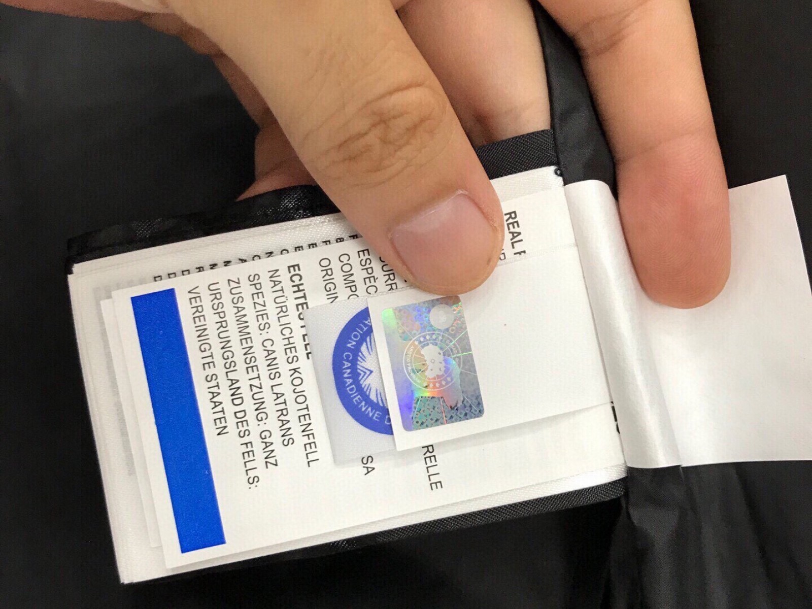 Canada Goose Down Jacket for Women and Men