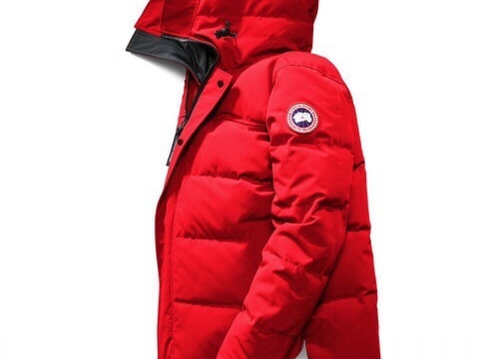 CN148 Mens Canada Goose/WOMens Canada Goose Bestselling Mens Canada Gooses/WoMens Canada Gooses Down Jackets