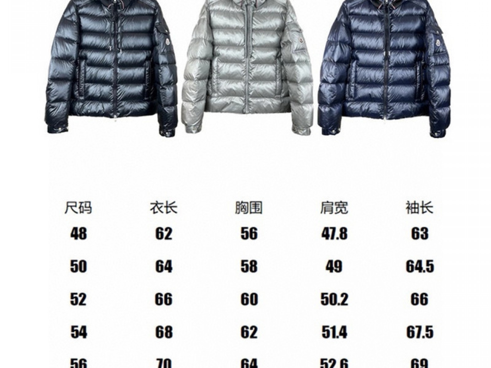 Mens Moncler Down Jacket  (28)