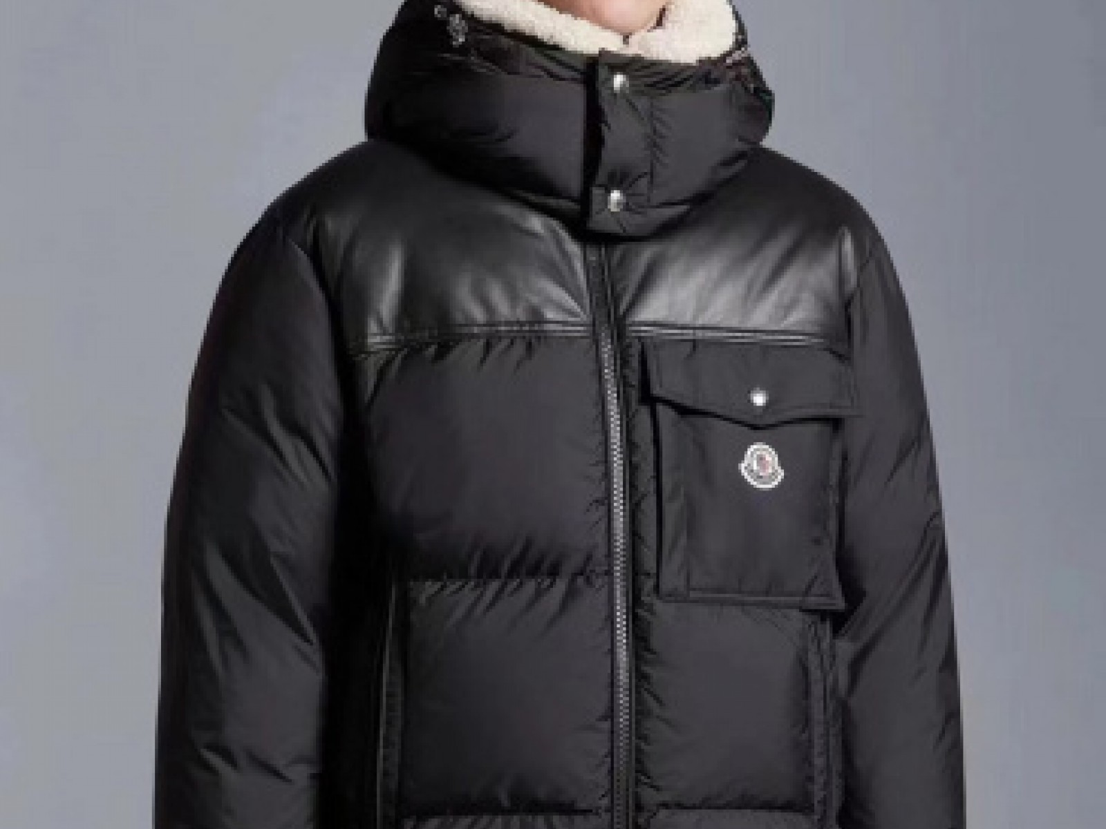 Mens Moncler Down Jacket  (6)
