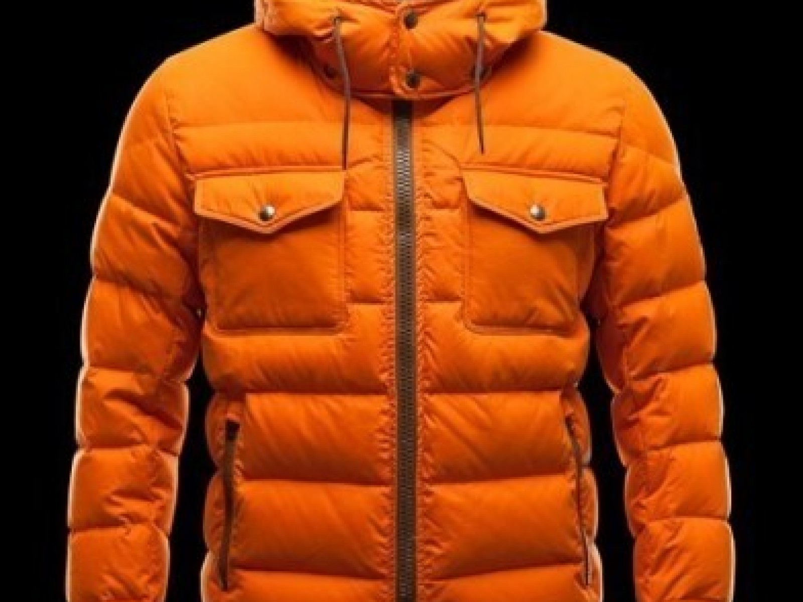 Moncler FEDOR for Men 其他色