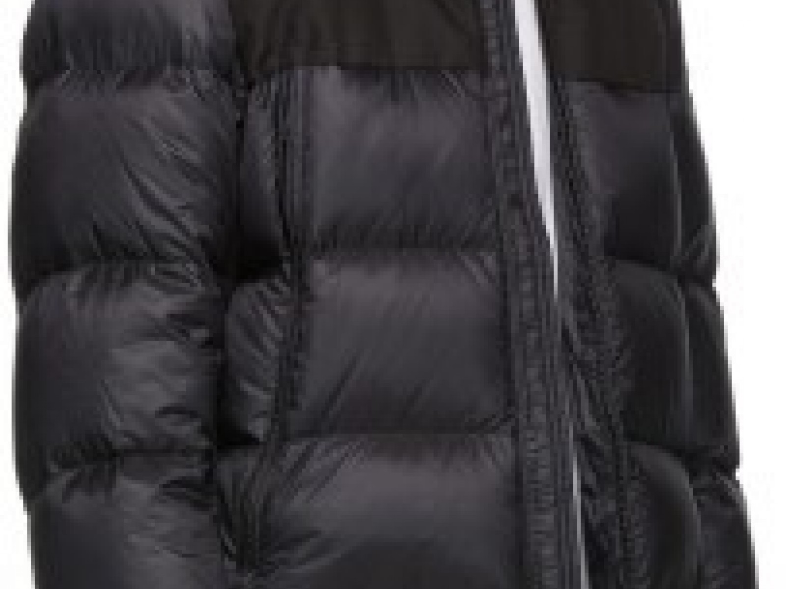 Moncler Faiveley Jacket