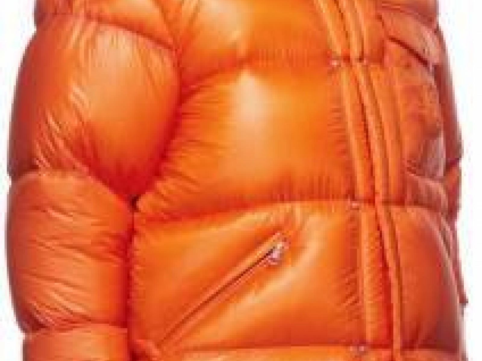 Moncler Orange Logo Down Jacket