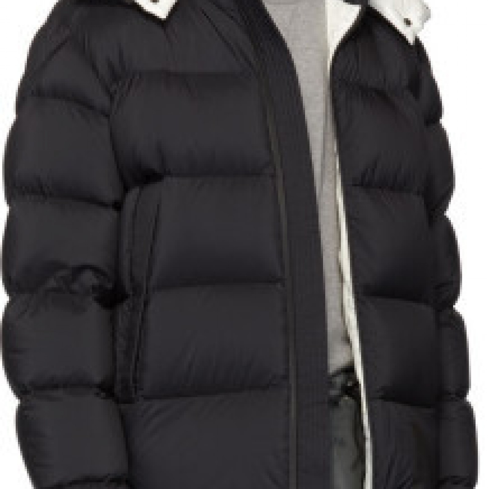Moncler Wilms Jacket