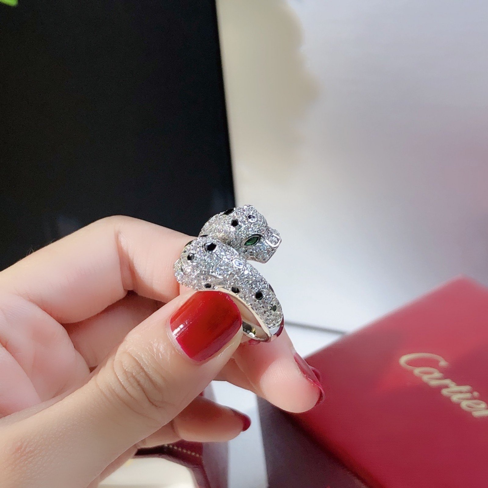 CARLIER Ring 41019N