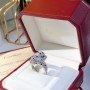 CARLIER Ring 41019N