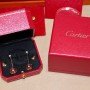 CARTIER Earrings 130601D