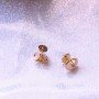 CARTIER Earrings 130601G