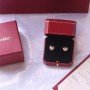 CARTIER Earrings 130601G