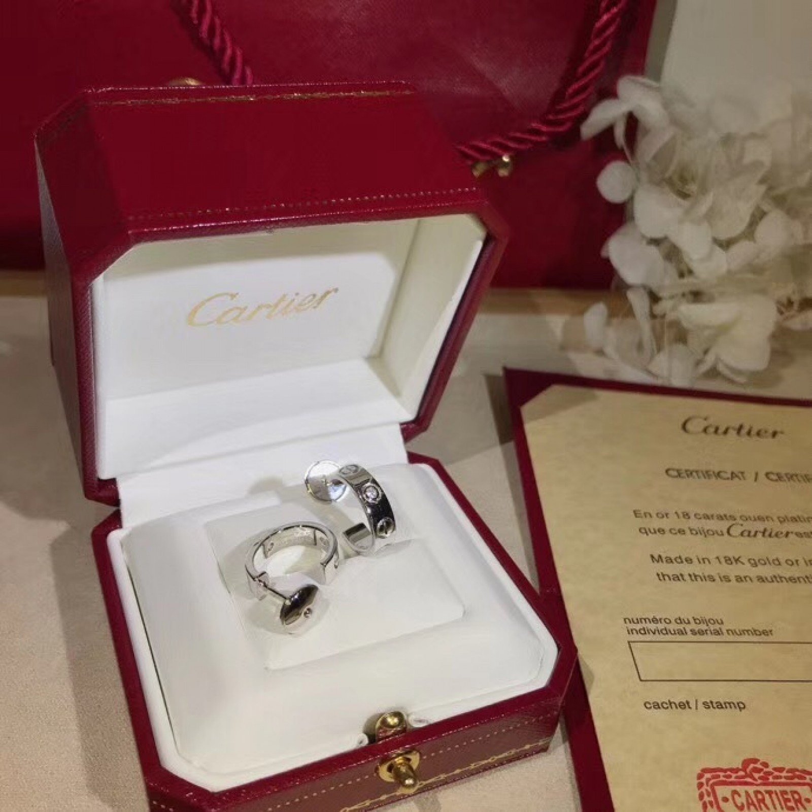 CARTIER Earrings 190509J