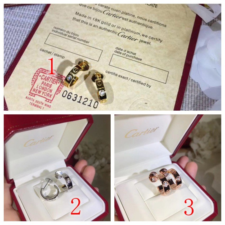 CARTIER Earrings 190509J