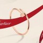 Cartier Jewelry 81226W