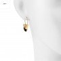LV Earrings 111227C