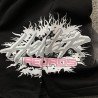 Hellstar Shorts