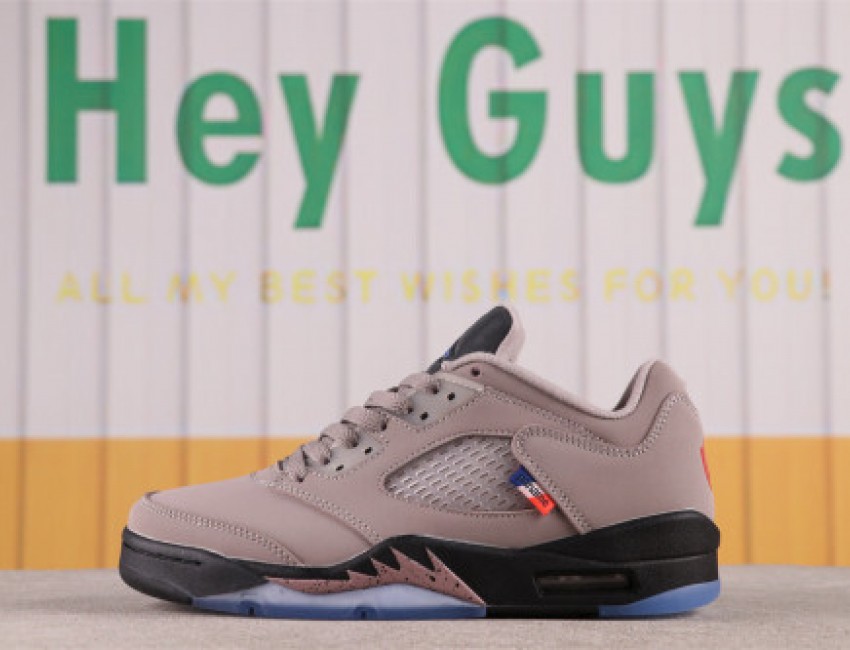 Air Jordan 5 Low x PSG DX6325-202