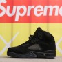 Air Jordan 5 Black Cat FZ2239-001