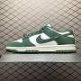 Nike Dunk Low IB4417-100