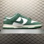 Nike Dunk Low IB4417-100