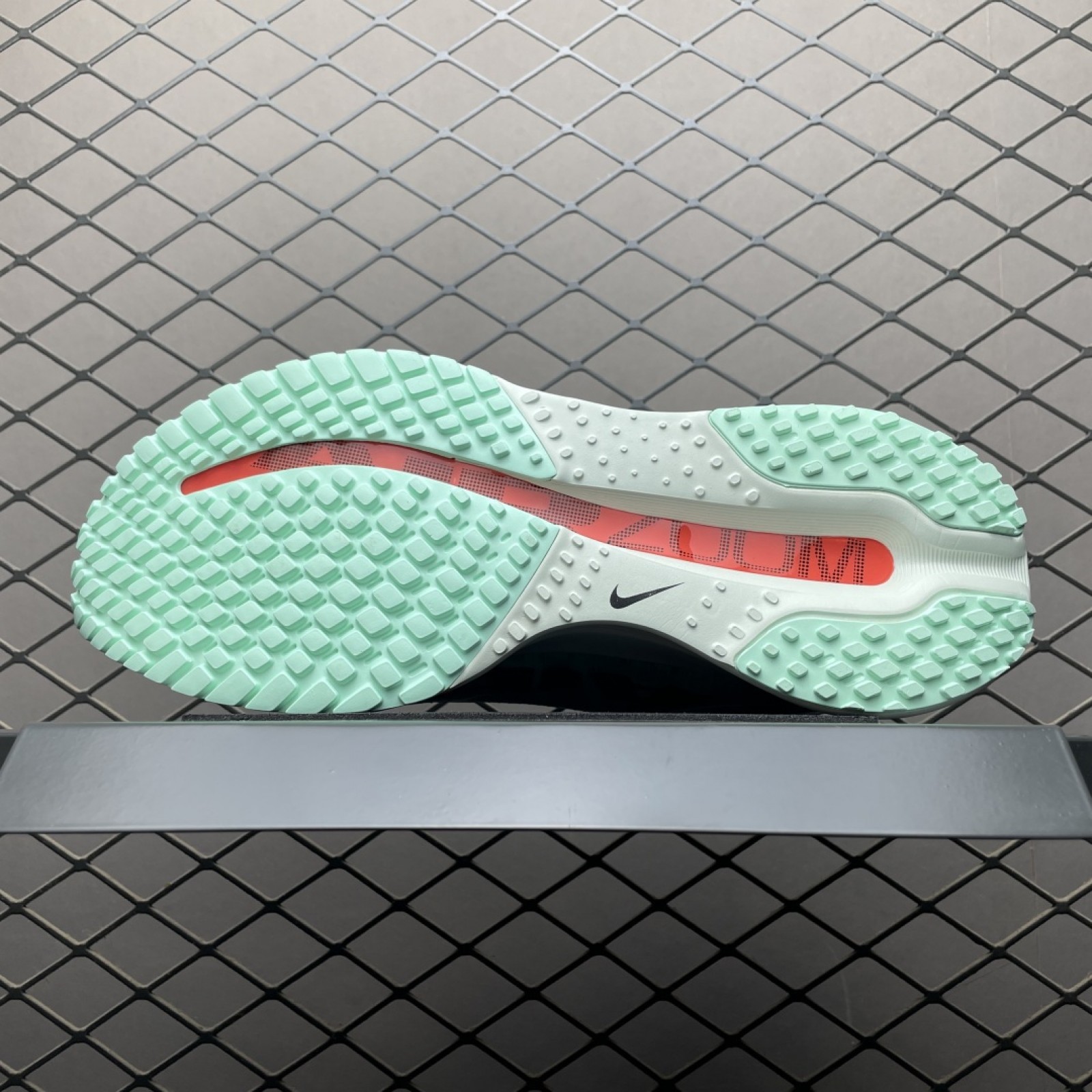 Nike Pegasus Premium  HQ2592-301 Size