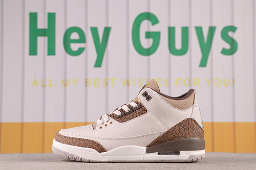 US$48 Air Jordan 3 Palomino CT8532-102 Size 36-46