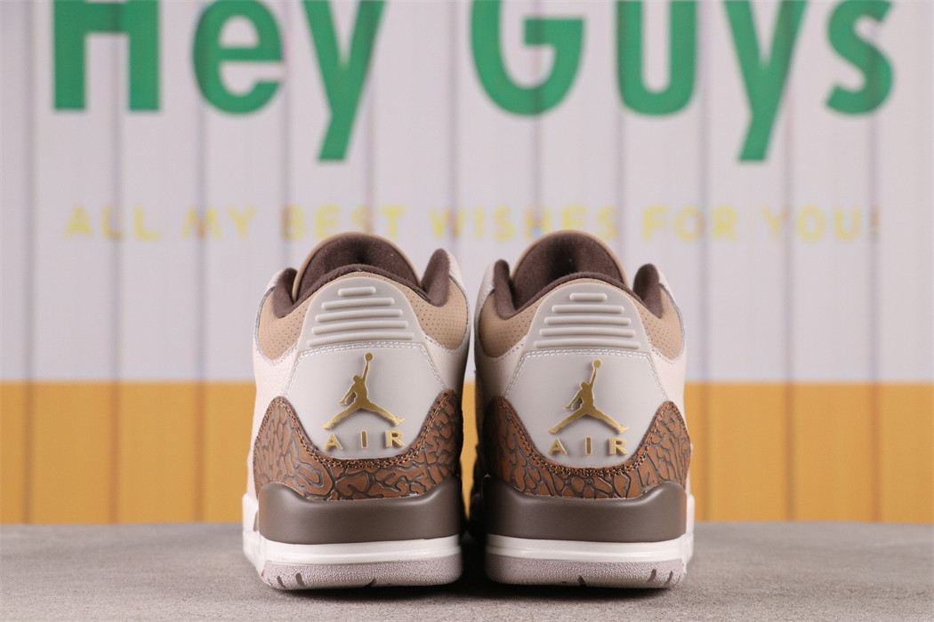 US$48 Air Jordan 3 Palomino CT8532-102 Size 36-46