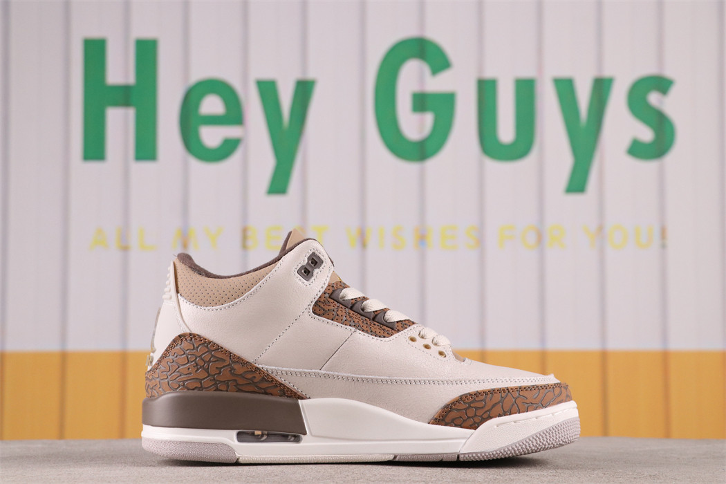 US$48 Air Jordan 3 Palomino CT8532-102 Size 36-46