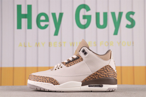 US$62 Air Jordan 3 Palomino CT8532-102 Size 40-47.5