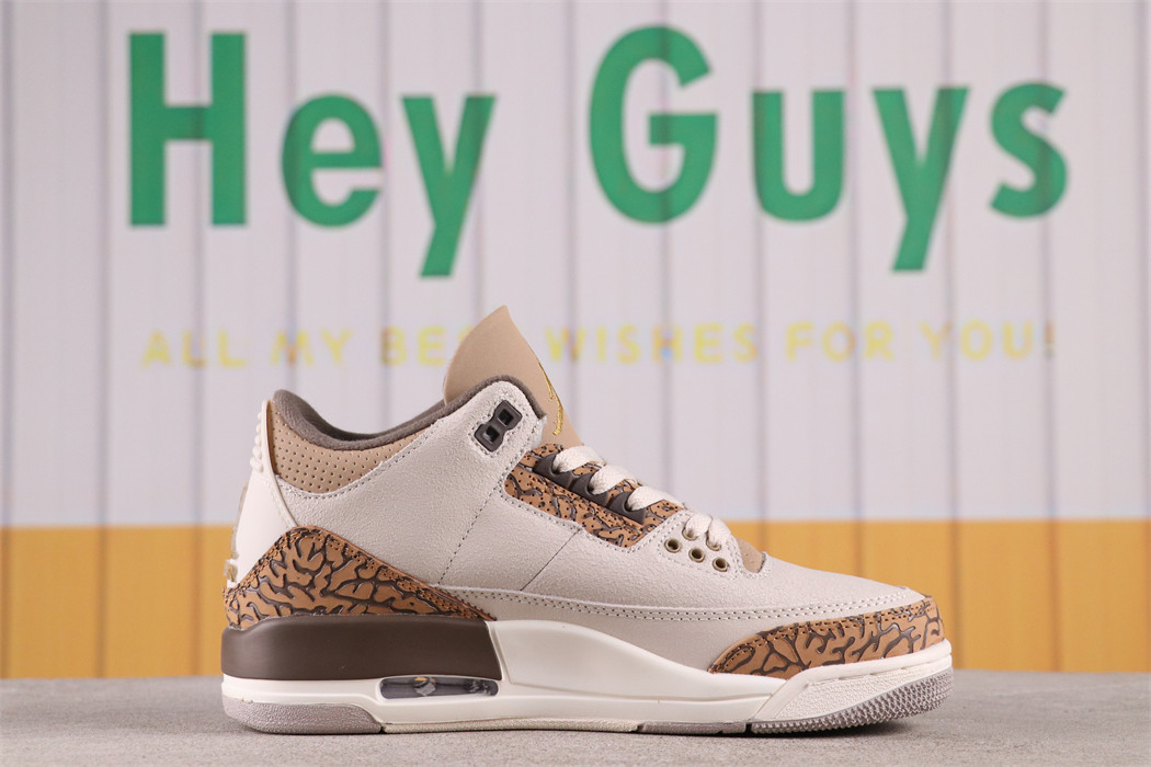 US$62 Air Jordan 3 Palomino CT8532-102 Size 40-47.5